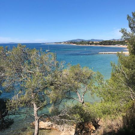 Studio L'Argentiere Plage La Londe-les-Maures Eksteriør billede