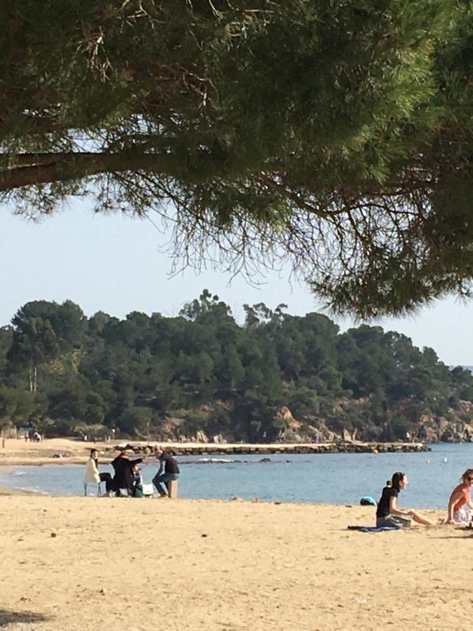 Studio L'Argentiere Plage La Londe-les-Maures Eksteriør billede